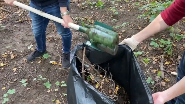 Команда Recovery MSPU участвовала в субботнике от общероссийского движения «Зелёная Россия» смотреть онлайн