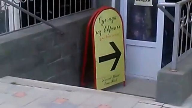 приколы с животными 2015 Чудо кошка Анапа смотреть онлайн