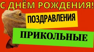 Прикольные поздравления с днём рождения