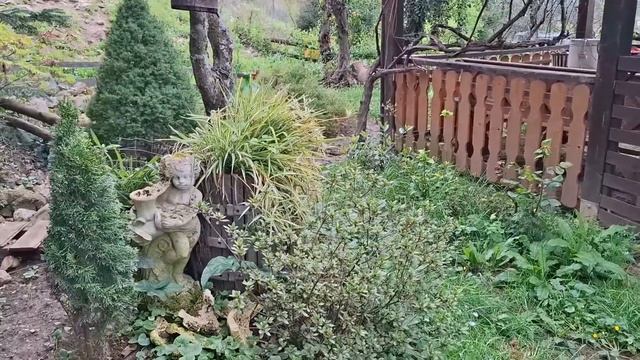 Сад в итальянским лесу. Живой звук. Пение птиц.