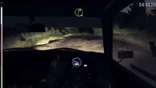 Dirt Rally от первого лица