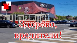 СК возбудил уголовное дело из-за разрушения трамвайной сети Калининграда