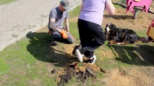 РАЗБОРКИ С МУЖЕМ НА УЧАСТКЕ!