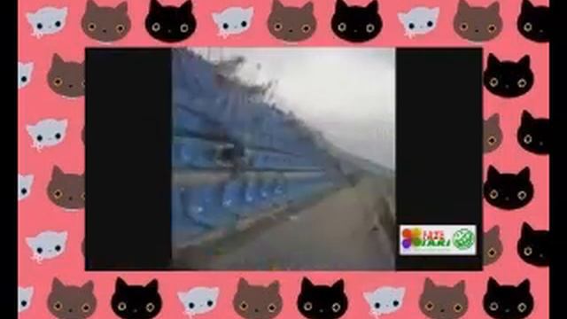 АВТОМОБИЛЬНЫЕ ПРИКОЛЫ))ОЧЕНЬ СМЕШНО)) смотреть онлайн