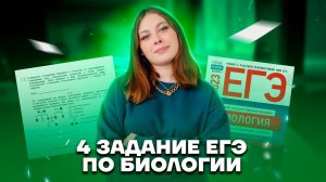 Все про задание 4 Биология ЕГЭ (подготовка в 10 классе) | Умскул