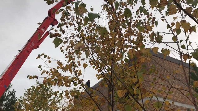 🚧 Бетононасос работает на объекте в Бердске | ДорЖилС