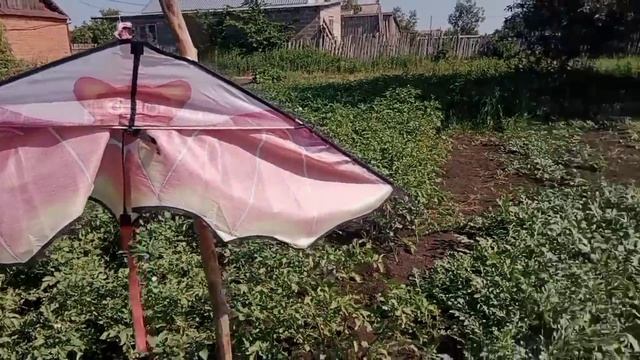 Жизнь в деревне/Урожай радует.Муж грубиян 🤔.Огурцы ма смотреть онлайн