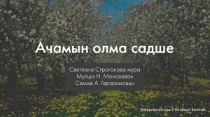 Светлана Строганова - Ачамын олма садше