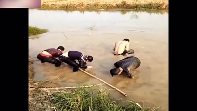Смешные Видео До Слез. Приколы. Прикольное видео. Нелепые случайности #21 смотреть онлайн