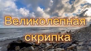 Великолепная скрипка, красивая инструментальная музыка