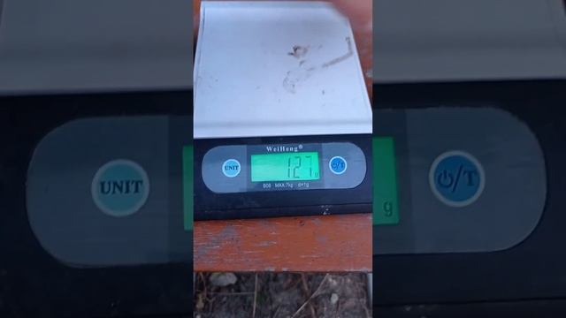 Слива Голден Плумза /Golden Plumza/ полное созревание смотреть онлайн