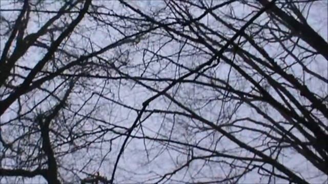 ДНЮХА У АНДРЮХИ смотреть онлайн