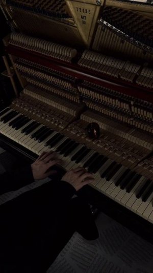 Fly - Ludovico Einaudi #aesthetic #piano #calm