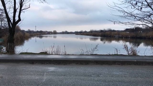 Дети-цветы жизни (часть 2)