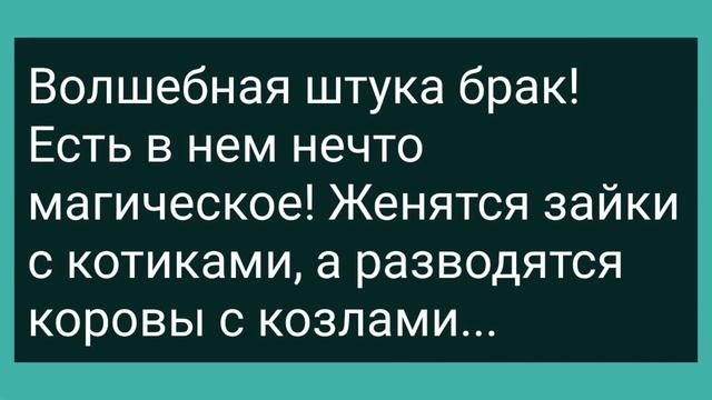 Дед в Кустах Подсмотрел за Вовочкой! Сборник Свежих Смешных Жизненных Анекдотов! смотреть онлайн