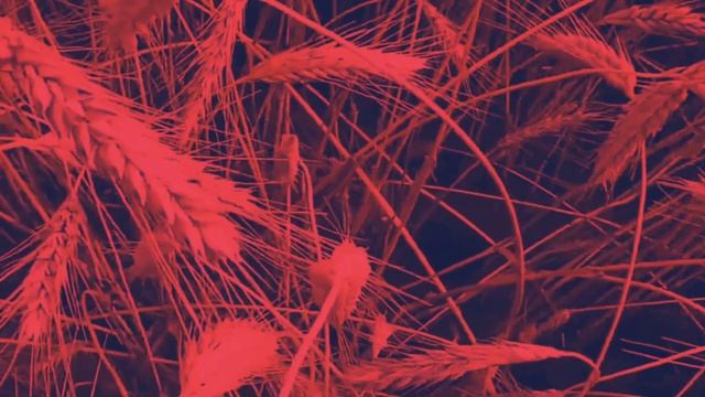 The Backrooms - уровень А-8 