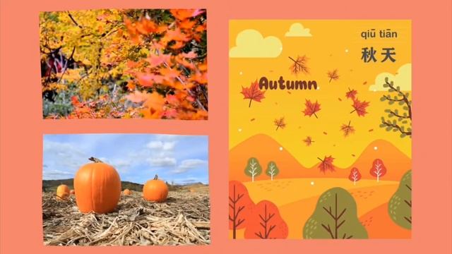 Сезоны 季节 смотреть онлайн