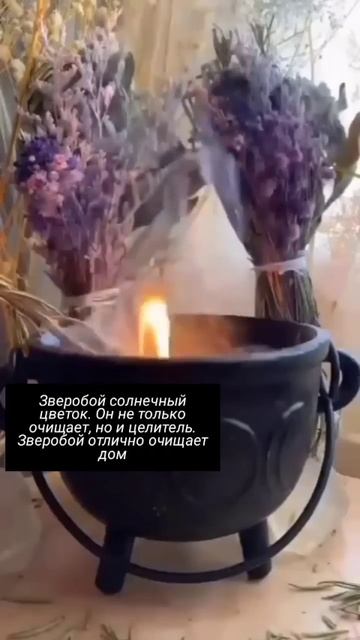 ✨травничество- давно позабыто.... Но травы до сих пор и? смотреть онлайн