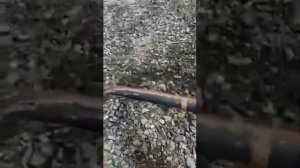 Экскаватор Кубота u10 / только с Японии . Цена 700тр