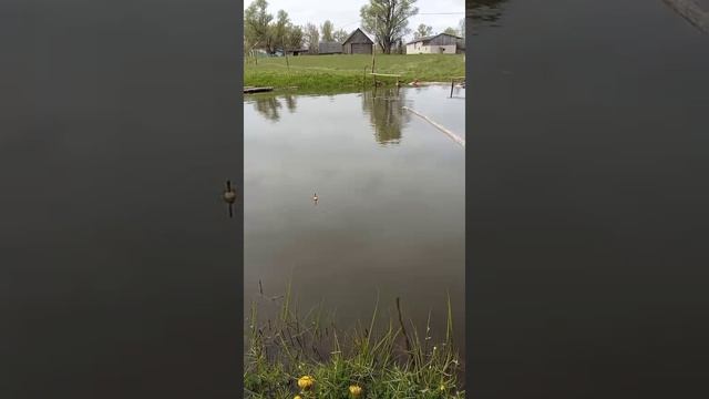 Рыбалка в деревне смотреть онлайн