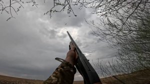 ОХОТА НА ГУСЯ 2025. ТАБУНЫ ГУСЕЙ, ЖИЗНЬ НА ПРИРОДЕ, РАБОТА НАД ОШИБКАМИ И КУЧА ЭМОЦИЙ