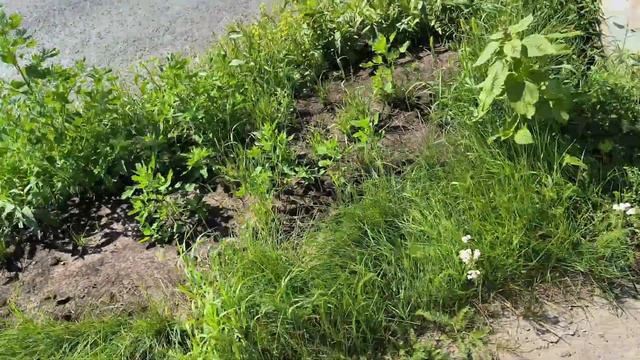 Xiaomi 13T. Дневная на роликах в ЗАКРЫТОМ городе Северск 03.0 смотреть онлайн