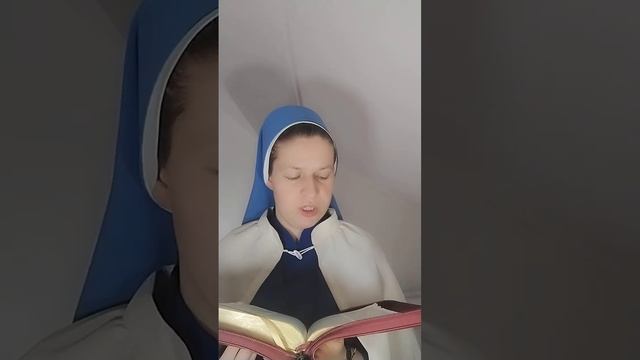 Слово Боже для вас. Євангеліє від Луки 12, 42-48 смотреть онлайн