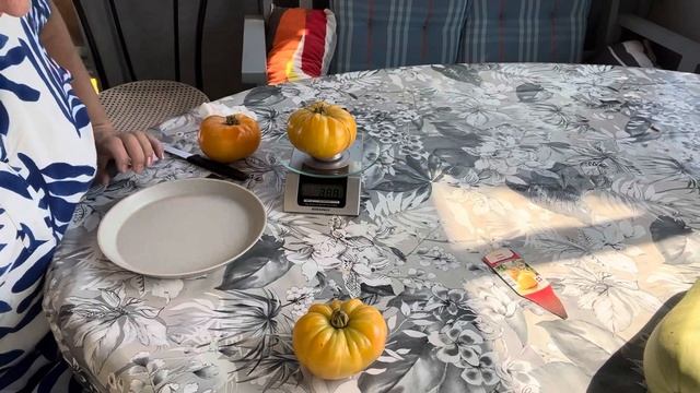 ТОМАТ🍅СОРТ АНАНАС🍍 смотреть онлайн