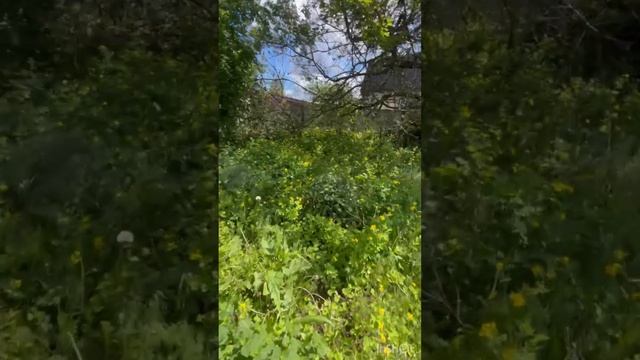 11976540 смотреть онлайн