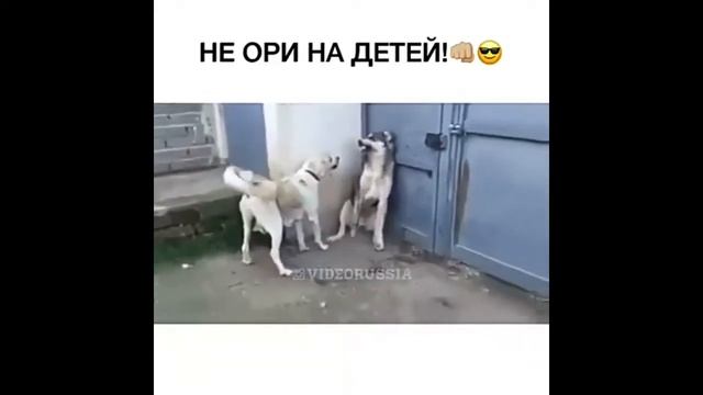 Не ори на детей смотреть онлайн