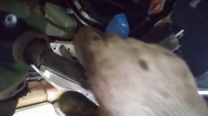 замена катушек зажигания на Chery Tiggo T11 FL SRS 70637 (SURAI)