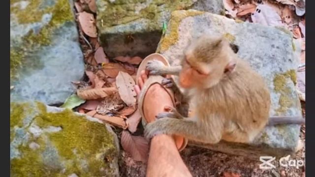 Что ты делаешь, Lily ? 1000007174.mp4 смотреть онлайн