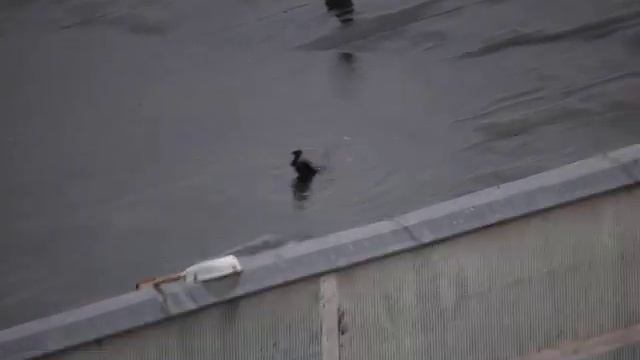 Принять ванну, выпить чашечку кофе..... смотреть онлайн