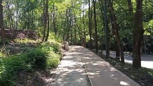 Кисловодск. Ремонт Комсомольского парка. 12.06.2024 г.