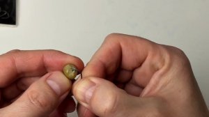 ГОРОХ для Карпа  КАК НАСАДИТЬ ГОРОХ НА КРЮЧОК