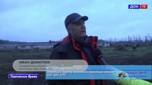 Швицкая порода КРС — cодержание, откорм привесы и надои. Выгодный баланс для фермера?