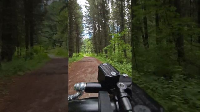 Тест драйв WENBOX F9