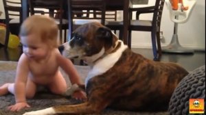 Приколы с детьми 2017 | Подборка приколов с детьми | Смешные видео детей #30 | Funny Kids Videos