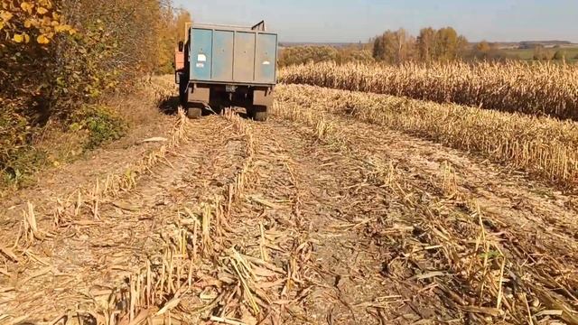 уборка кукурузы на силос смотреть онлайн