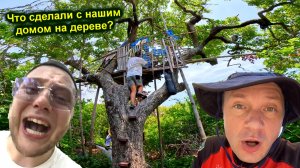 ✅Что сделали с ДОМОМ на ДЕРЕВЕ на НЕОБИТАЕМОМ ОСТРОВЕ !!! Электро ДОСПЕХИ и ОБЕЗЬЯНЫ !