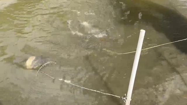 21.05.25 г. Парк отдыха водопад смотреть онлайн