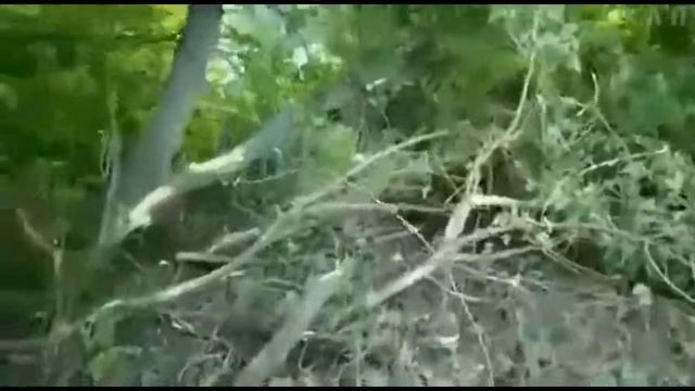 ЛУЧШИЕ РУССКИЕ ПРИКОЛЫ 2018 АВГУСТ Подборка новых русских приколов 2018 # 13 смотреть онлайн