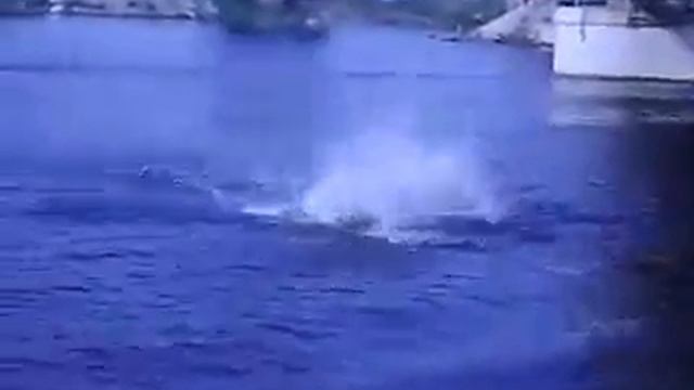Я снимаю, нах..! Вот это прикол! смотреть онлайн