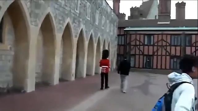 Приколы смотреть онлайн