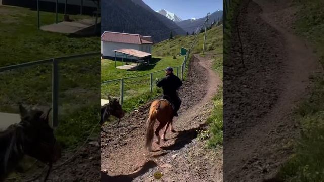 Ал Муса мен Роза тауға барды🔥🔥🔥