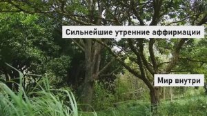 СЛУШАЙ И ВСЁ СБУДЕТСЯ! | Сильнейшие утренние аффирмации