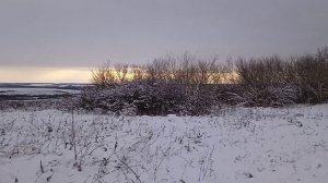 Золотые ретро шлягеры СССР 80-х: Синий иней - ВИА Здравс?