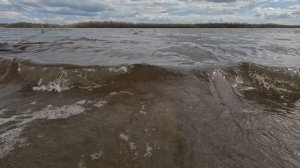 Половодье 2025. Обь. Сургут. Нептун. 21.05.25.