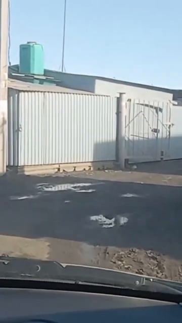 Уже год прошел #дача #огород #паводок2024 смотреть онлайн