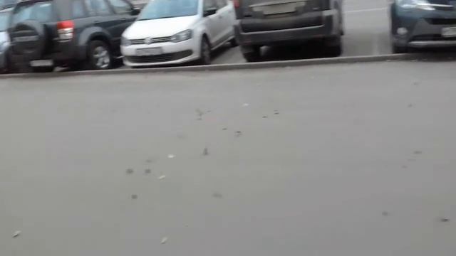 Прикол про карусель смотреть онлайн